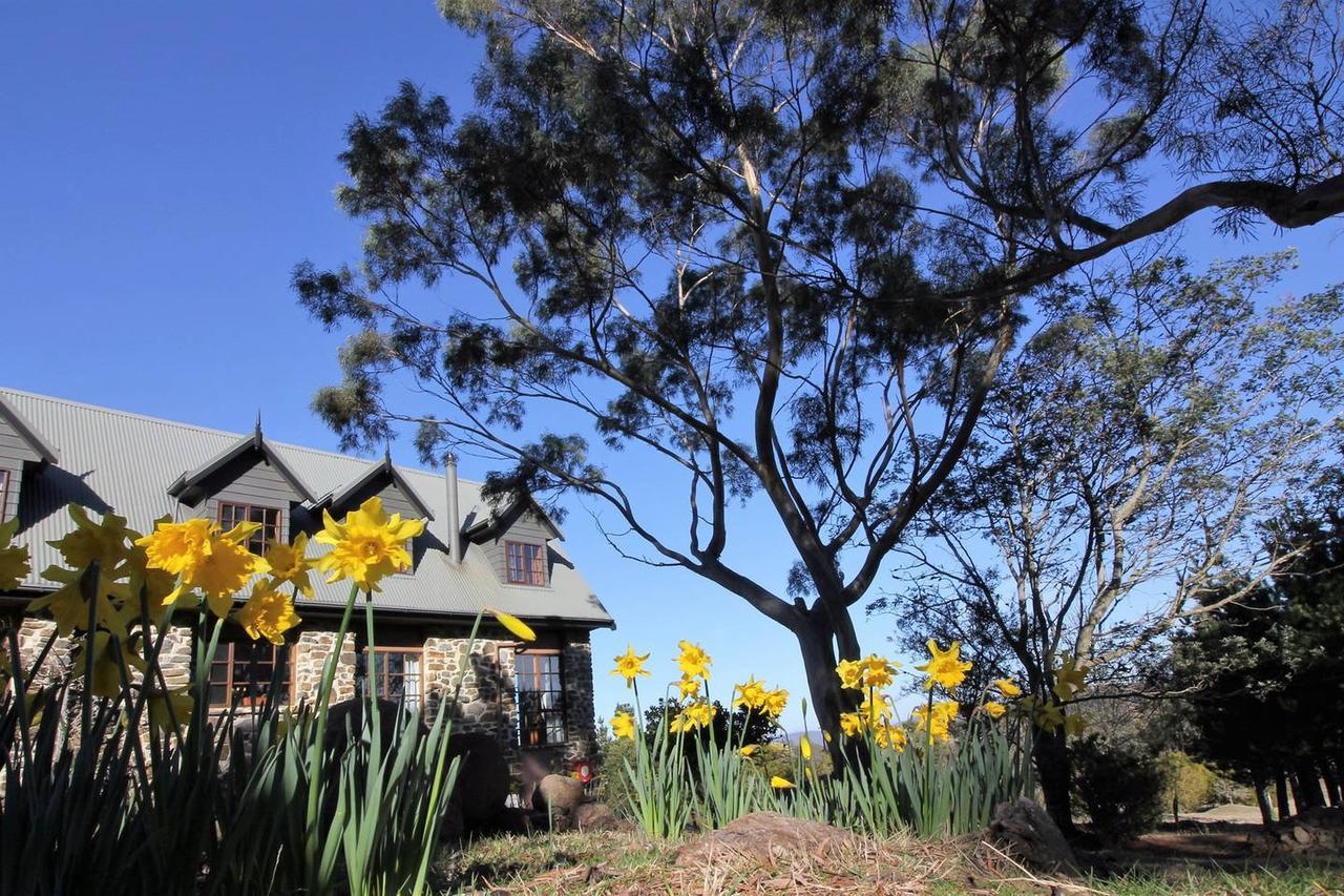 Buckland The Great House Bnb المظهر الخارجي الصورة